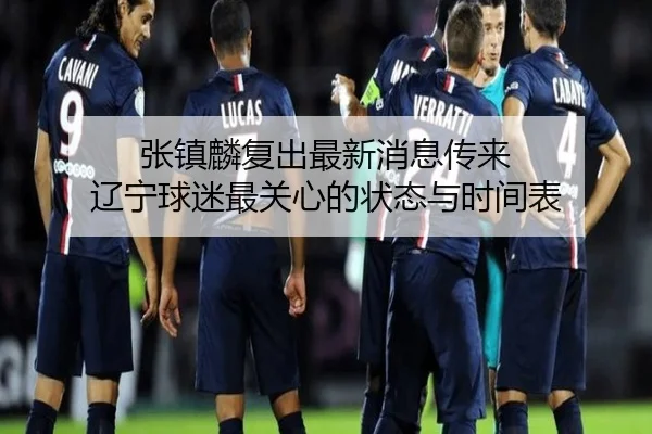 张镇麟复出最新消息传来 辽宁球迷最关心的状态与时间表